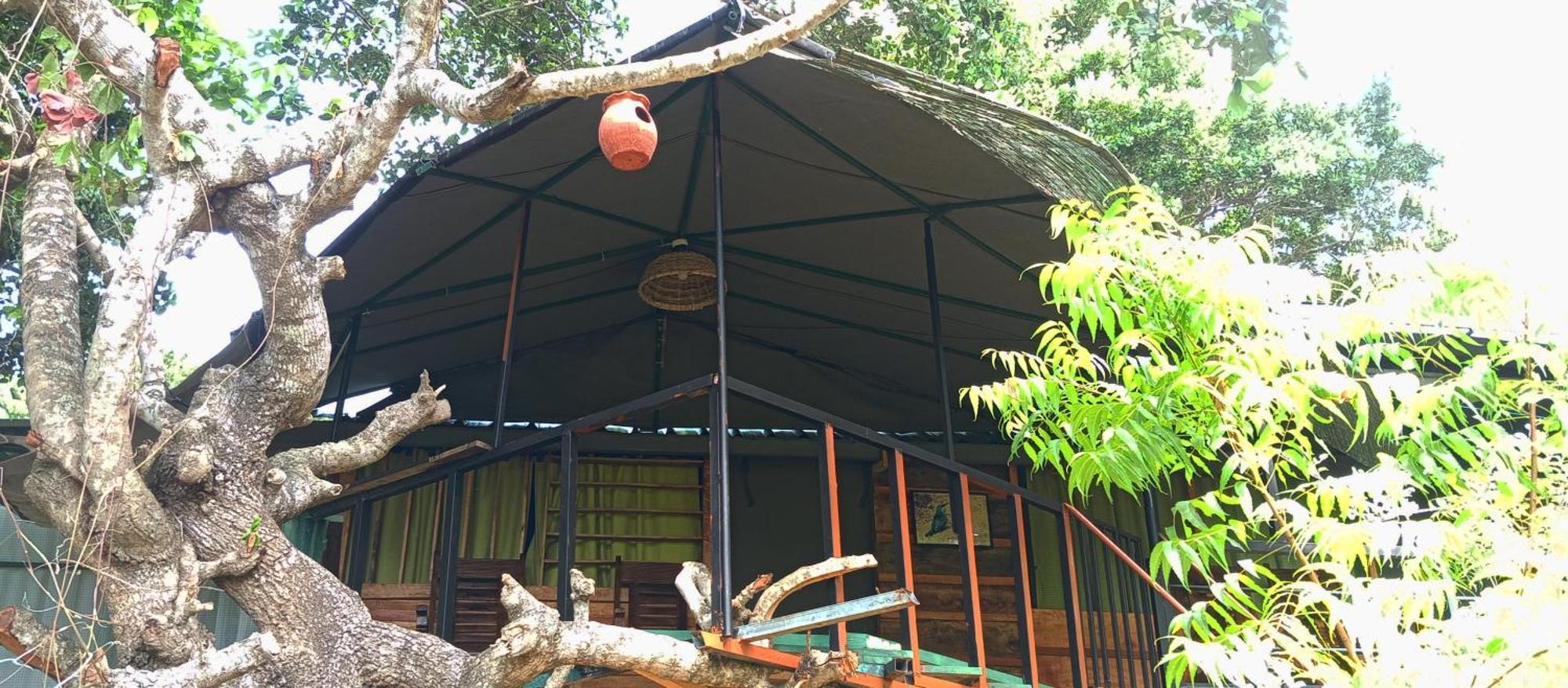 Jungle Cabin - Bundala Bundala Levagangoda Екстериор снимка